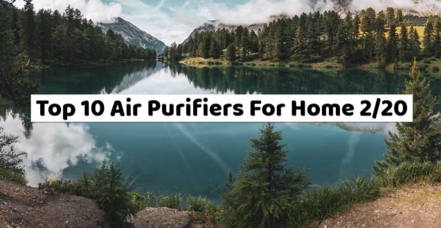 top 10 air purifiers for home